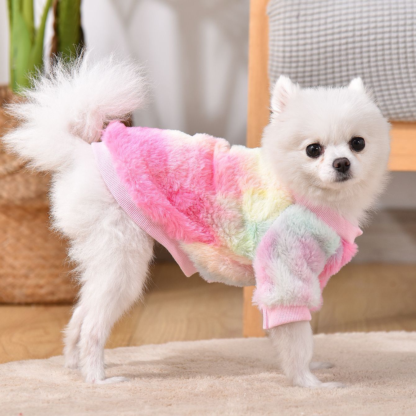 Pet Dog Puppy Cat Clothes Schnauzer Teddy Bichon Pomeranian Dog Autumn Winter -Lined Warm Anti-Shedding Sweatshirt