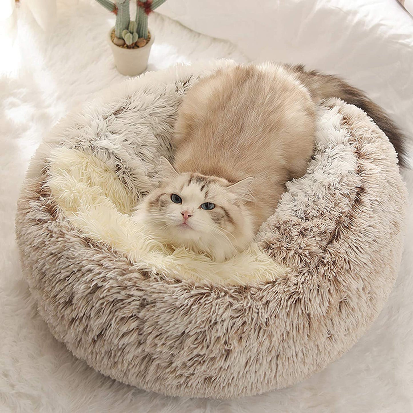 [Warm|Pet Bed] 2-in-1 Round Warm Pet Bed | Polyester Cat Bed, Long Plush, Winter, with Sleeping Bag Sofa Cushion for Cat