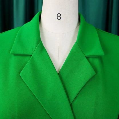 Women’s Elegant Notched Collar Dress, Long Sleeve Pleated Mid-Calf Dress with Waist Sash