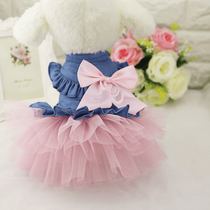 Cute Dog Dress with Mesh Design